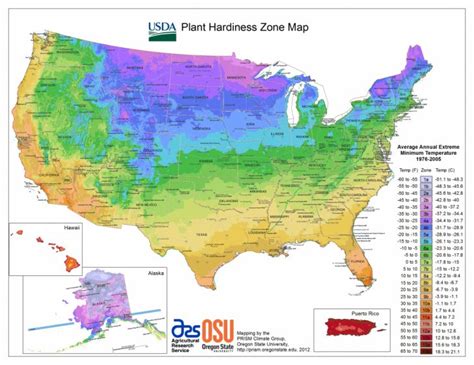 Usda Hardiness Zone Finder Garden Florida Growing Zones Map