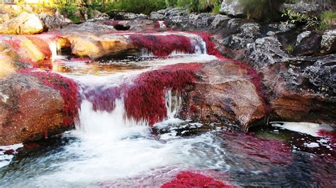 Check spelling or type a new query. Caño Cristales, Colombia | Geology Page