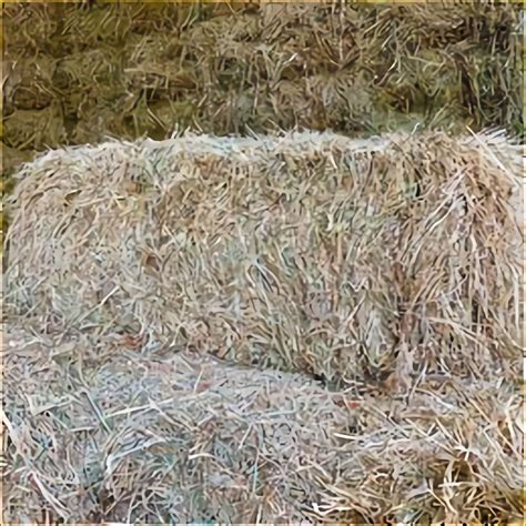 Square Hay Bales For Sale In Uk 26 Used Square Hay Bales