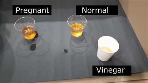 Vinegar Pregnancy Test Is It Accurate Youtube