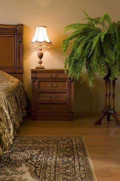 Wide range of indoor plants, perfect for any occasion. Houseplants Victorian Style - Information On Popular ...