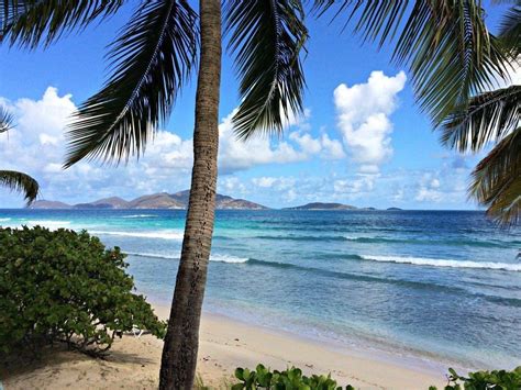 Everything You Need To Know About St Thomas Usvi Things To Do In St