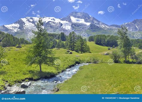 Scenic Ladscape In Alpine Mountain Snowy And Greenery Meadow With A