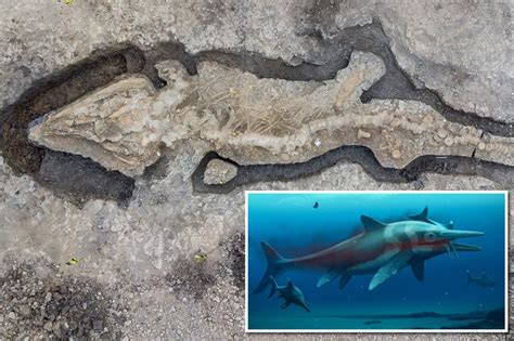 Giant 30 Foot ‘sea Dragon Fossil From 180 Million Years Ago Discovered