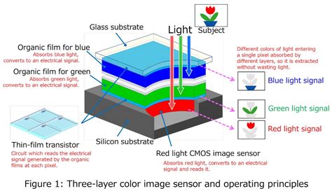 Today, almost all sensors in machine vision fall into one of two categories: NHK Develops 3-Layer Organic Sensor - F4News