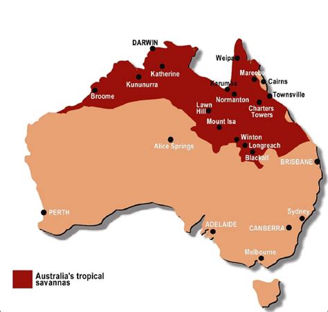 Savanna Style Simple Map Of Australia Gambaran