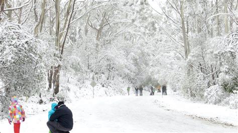 6 Best Places To Enjoy Snow Near Melbourne 2022 The Trend Spotter