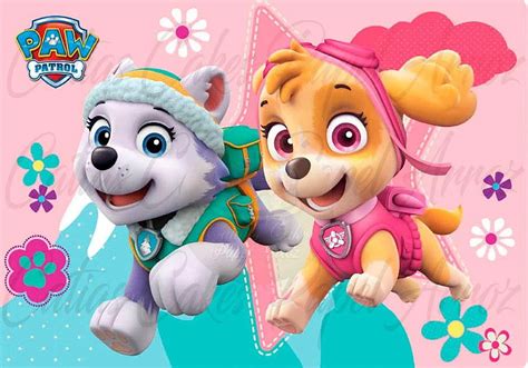 Patrulha Canina Paw Patrol Skye Hd Wallpaper Pxfuel