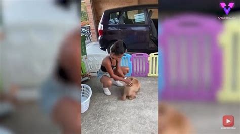 Esta joven se reencontró con su cariñoso perro después de no verlo