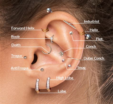 Ear Piercing Chart Ear Piercings Guide