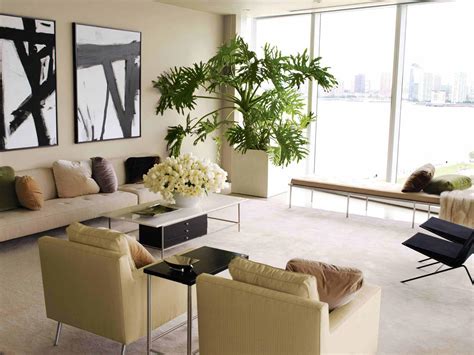 Decorating Our Homes With Plants Interior Design Explained