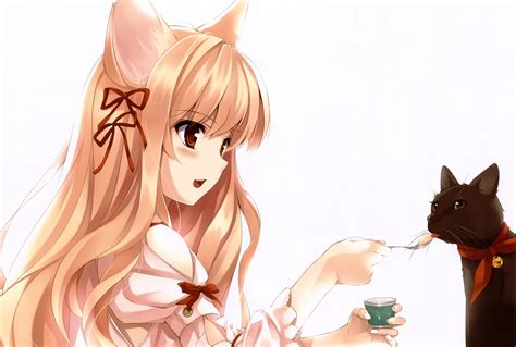 Anime Girl With Cat Wallpapers Wallpaper Cave