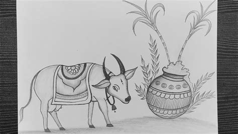 Mattu Pongal Pencil Drawing Cow Pongal Drawing Pongal Festival