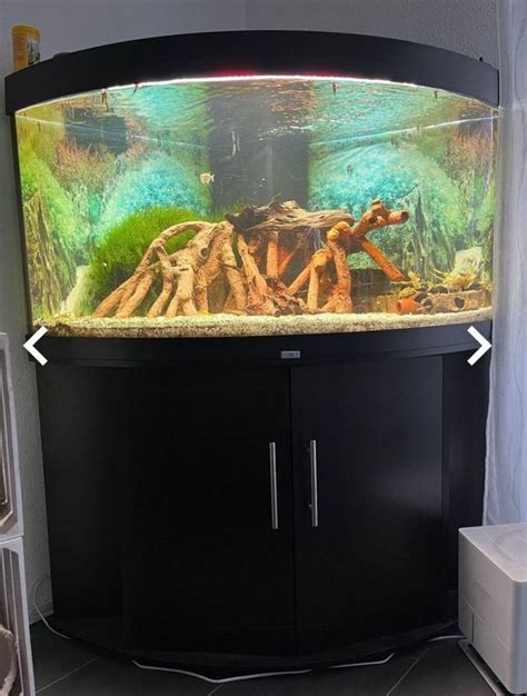 Aquarium Juwel Trigon 350l Kaufen Auf Ricardo