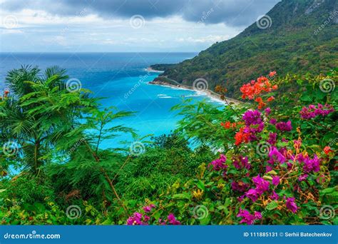 Adorable Natural Wild Landscape With Rocky Mountains Overgrown Dense