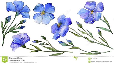 Blue Flax Floral Botanical Flower Wild Spring Leaf Wildflower