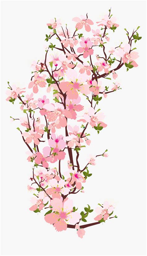 Branch Tree Cherry Blossom Clip Art Cherry Blossom Branch Transparent