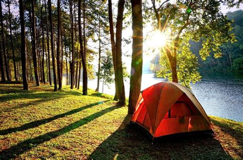 Top Tips For Your First Solo Camping Trip How To Camp Alone Koa