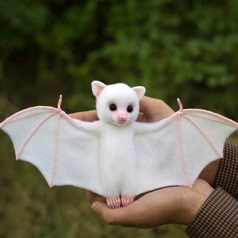 Baby White Bat Plushie 10 Cute Bat Pretty Animals Cute Kawaii Animals