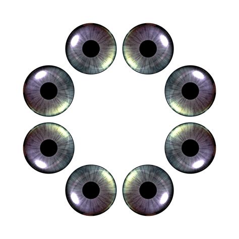 Eight Eyes Free Stock Photo Public Domain Pictures