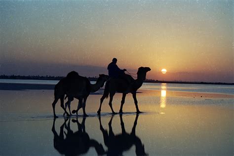 Travel Guide To Island Of Djerba Jerba Or Jarbah Island