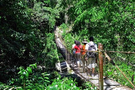 El Parque Pico Bonito Un Santuario Natural Al Norte De Honduras