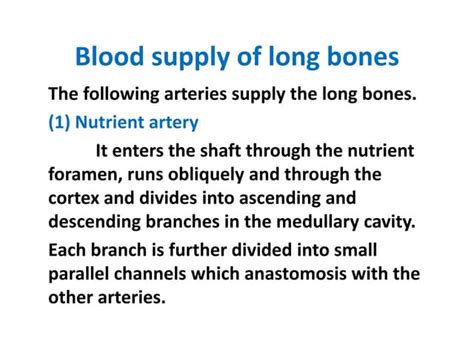 11th Blood Supply Of A Long Bonepptx