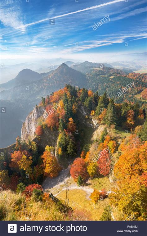 Tatra Mountains Trees High Resolution Stock Photography And Images Alamy