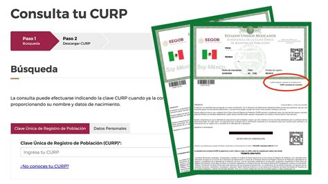 Curp Certificada ¿cómo Se Descarga El Documento Oficial Gratis El