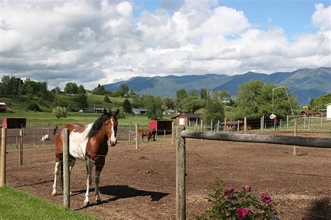 Photographs Of Ranch M Horse Boarding In Kalispell Montana