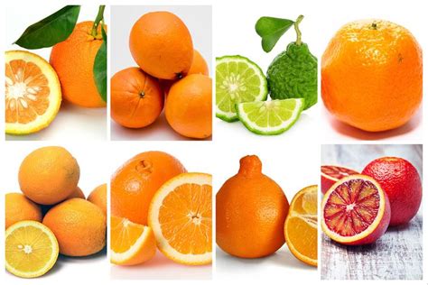 Name That Orange The Modern Farmer Guide To Orange Varieties Types