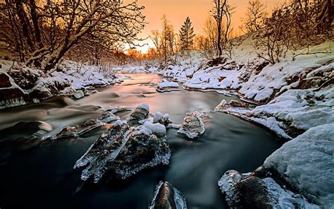 Norway Forest Trees River Snow Ice Winter Sunset Norway Forest