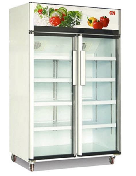Cn Double Glass Door Display Chiller With Assisted Fan Cooling Peti