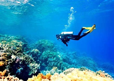 This article is a travel topic. Scuba Diving In Beirut: Top Places For An Exciting Experience