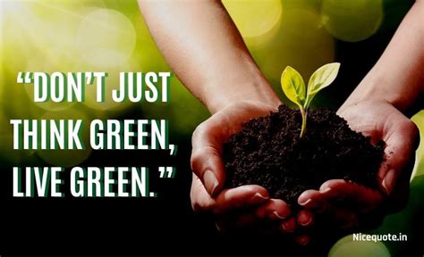 80 Best Slogans On Save Trees And Save Tree Quotes February 2024