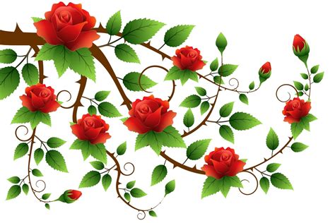 Free Roses Branch 1 Stock Photo