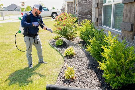 What Is The Difference Between Pest Control And An Exterminator