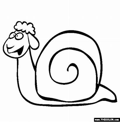 Coloring Pages Animals Funny Silly Snail Lamb