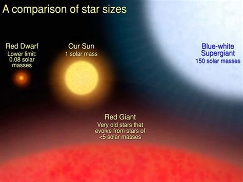 Nasas Hubble Weighs In On The Heaviest Stars In The Galaxy