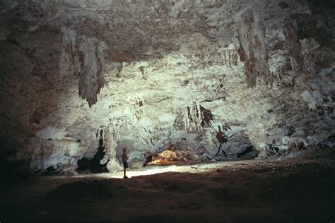 Mona Island Large Cave Room With Large Stalactites Photos Kristen