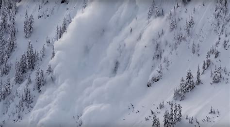 Start Your Day With This Massively Powerful Avalanche Unofficial Networks