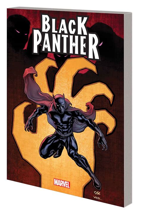 Comics Black Panther Vol 1 Complete Collection Hudlin Marvel Graphic