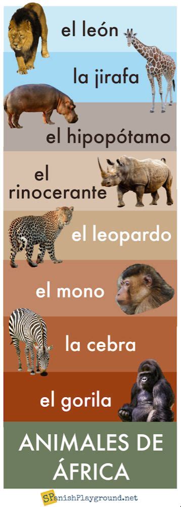 Spanish Vocabulary Infographics Spanish Playground Spanish