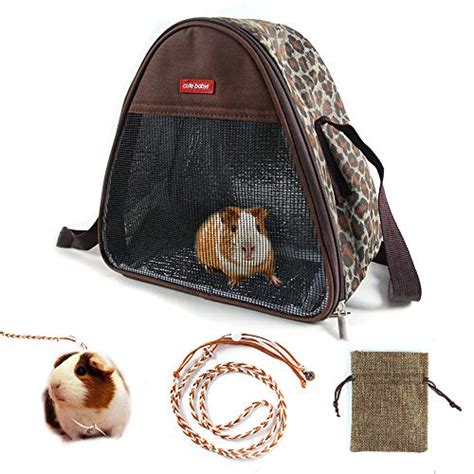 Best Travel Carrier For Guinea Pigs The Pet Supply Guy