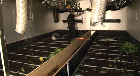 Hennep Plantage Gevonden In Groenlo YouTube