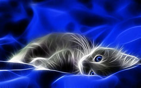 Free Download Fractal Cat Cats Art C G Wallpaper 1680x1050 117996 Wallpaperup [1680x1050] For