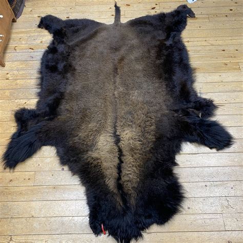 Buffalo Hides For Sale — Claw Antler And Hide Co