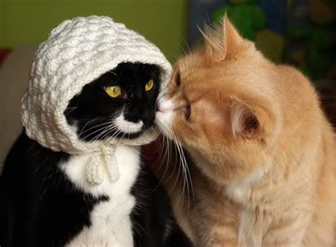 Cute Pictures - The Fun Learning