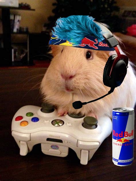 Psbattle Hamster Playing Xbox Rphotoshopbattles