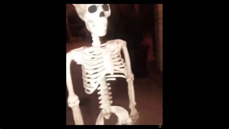 Skeleton Meme Template Youtube